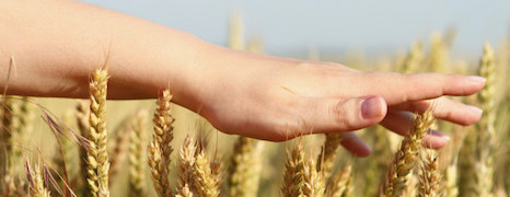 Bio